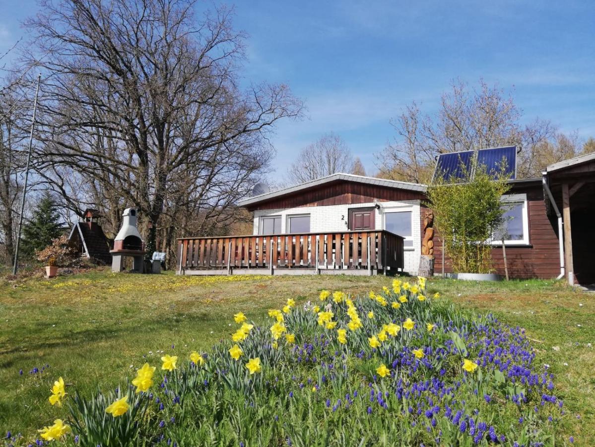 Ferienhaus Chiara, Suedharz, Harztor Ilfeld Dış mekan fotoğraf